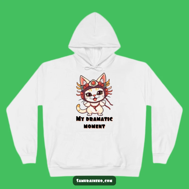 Funny Cat Mask Hoodie: Cozy Up in Mysterious Feline Style, Ideal Funny Gift